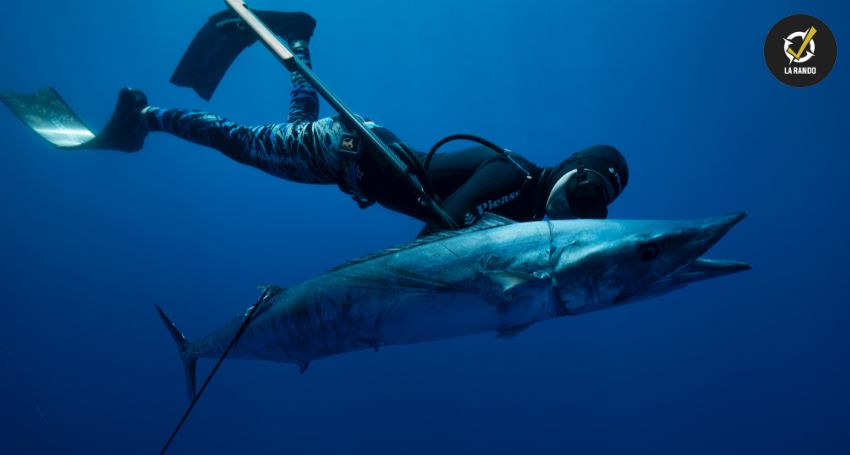 Sublest – Lests pour la plongée et la chasse sous-marine